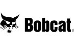 bobcat